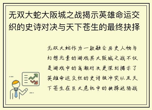 无双大蛇大阪城之战揭示英雄命运交织的史诗对决与天下苍生的最终抉择